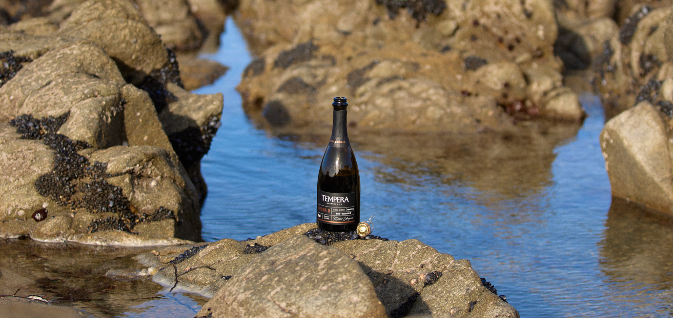 Que boire avec des huîtres ? Nos idées d’accords sans alcool